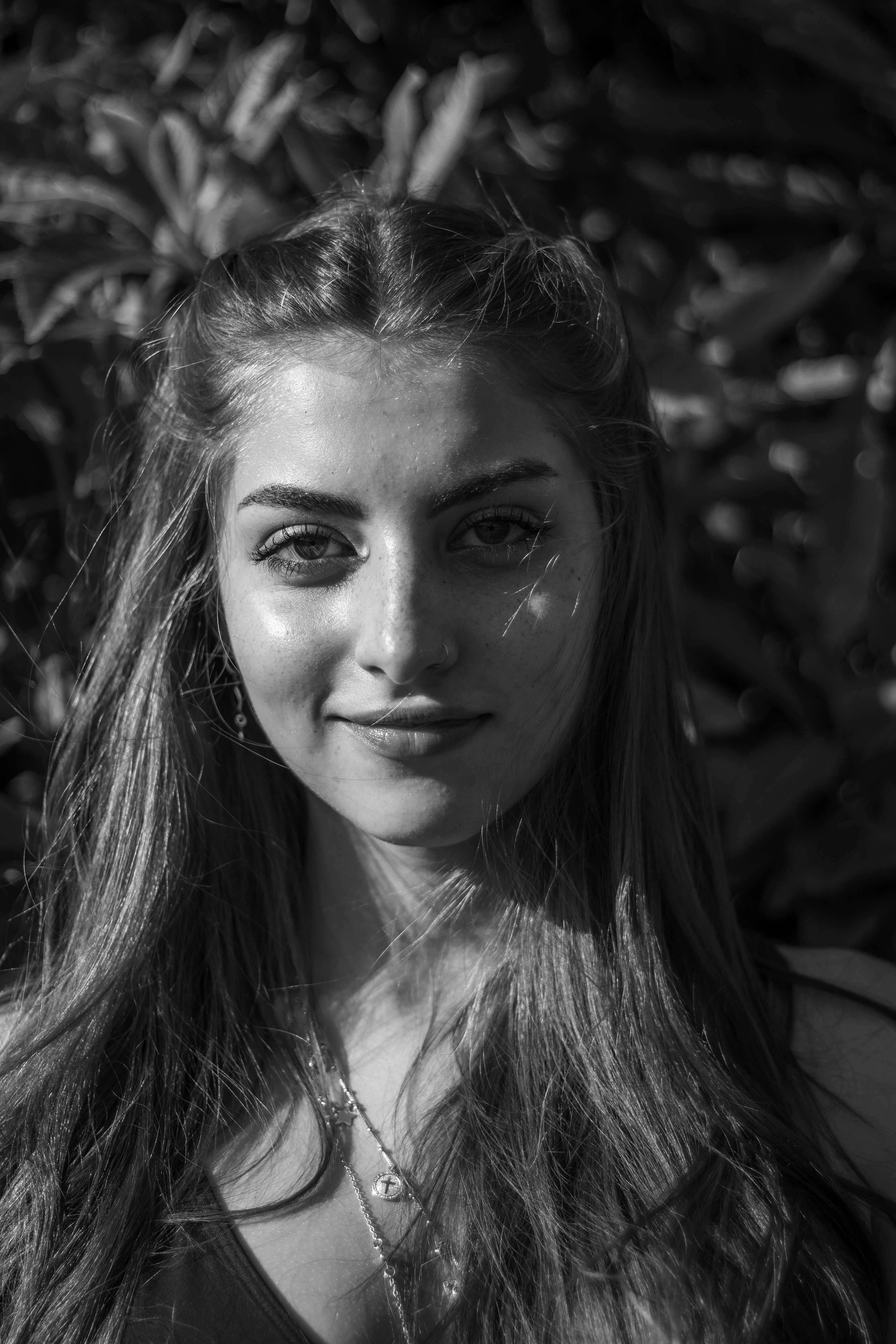 国风动画与设定封面图