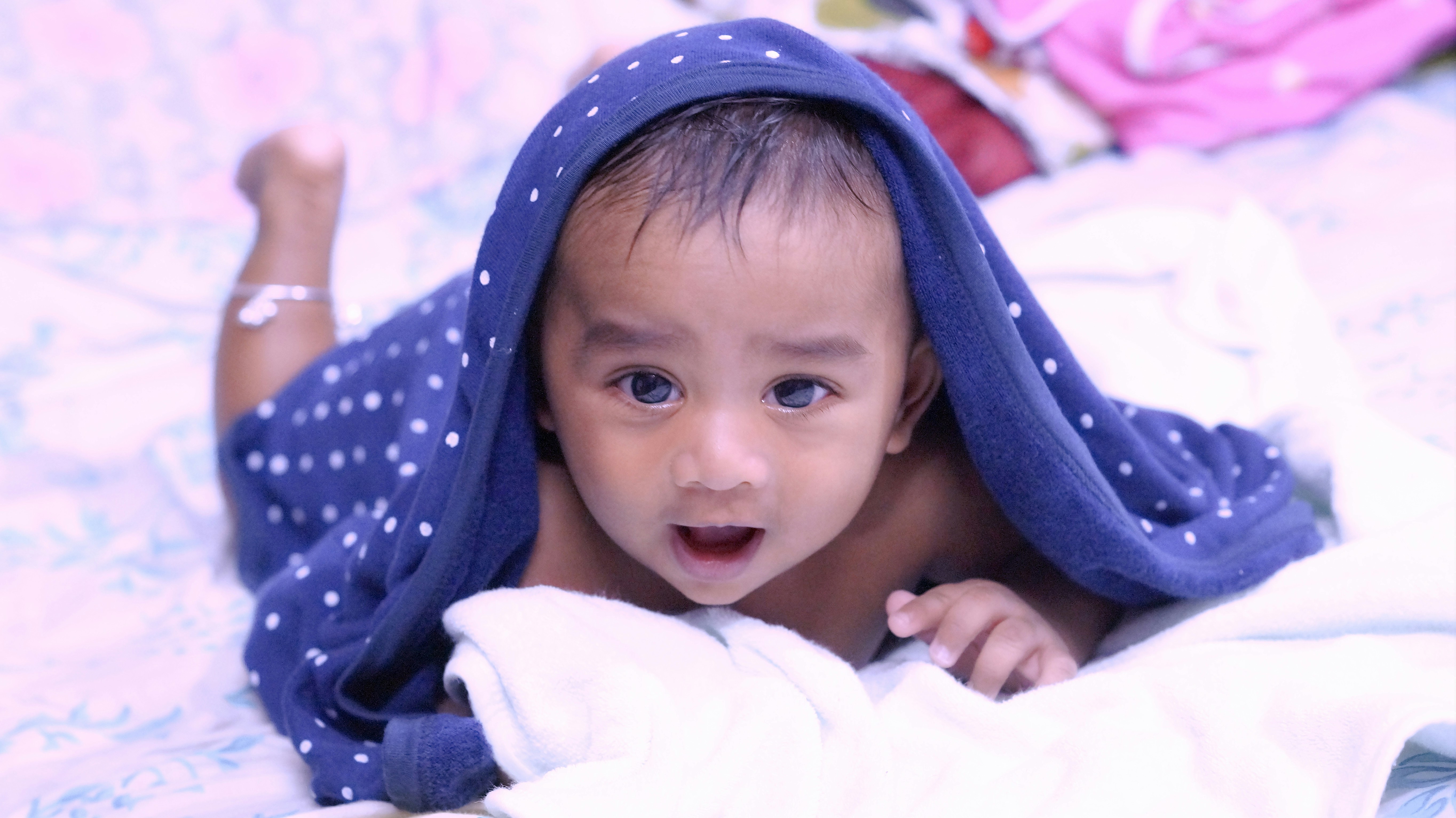 丁香花影与月光灰的主视觉氛围图