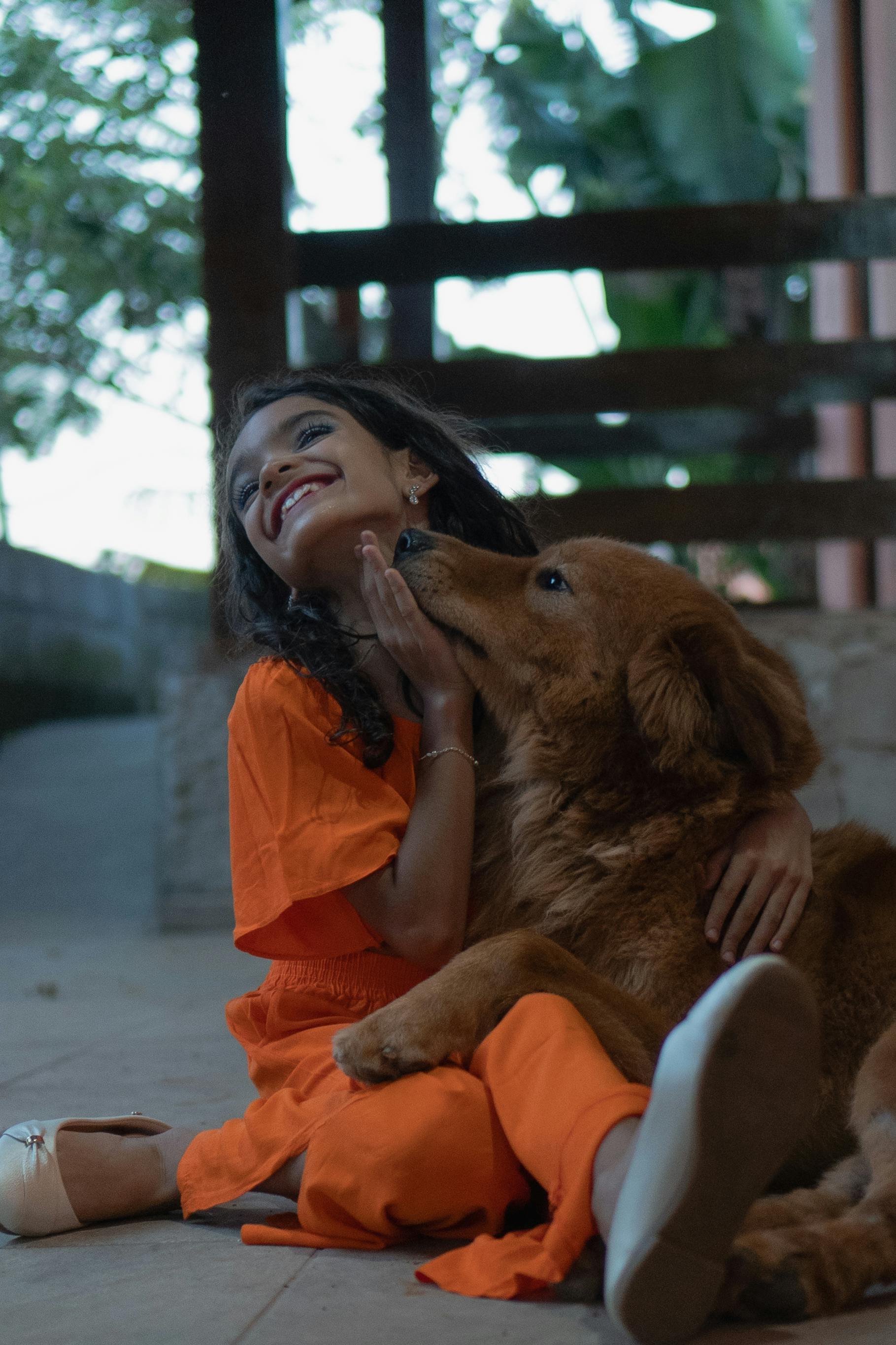 动漫：黑箱推演海报